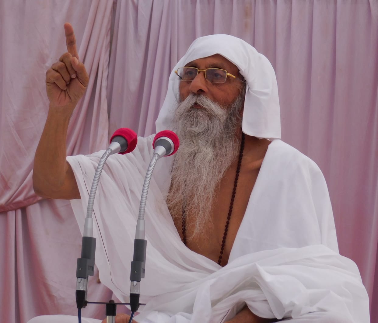 Vegetarian food is the key to a long and healthy life: Baba Umakant