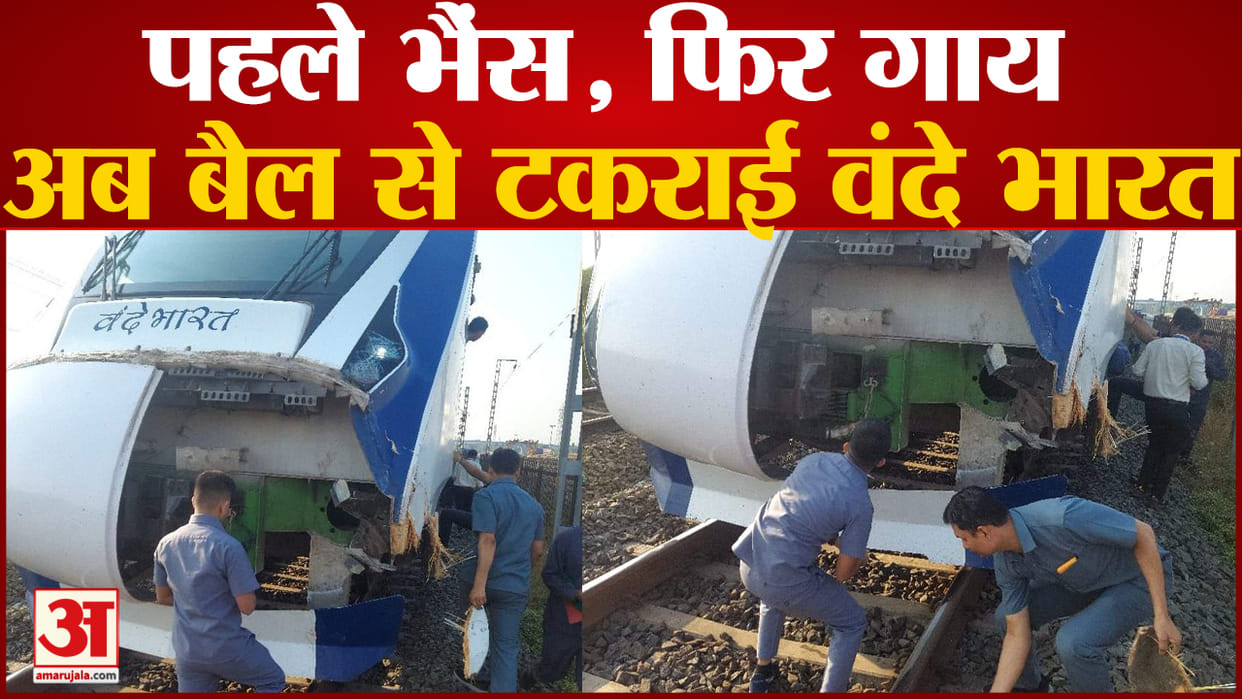 Indian Railways Cattle on tracks 200 trains affected in first 9 days of Oct 4000 trains faced delay this year