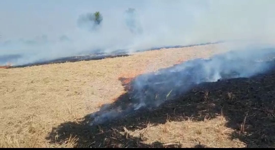Stubble burning at 39 places, AQI crosses 400 at night