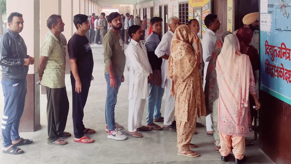 Haryana Panchayat Election: Reputation of many MLAs including seven MPs at stake