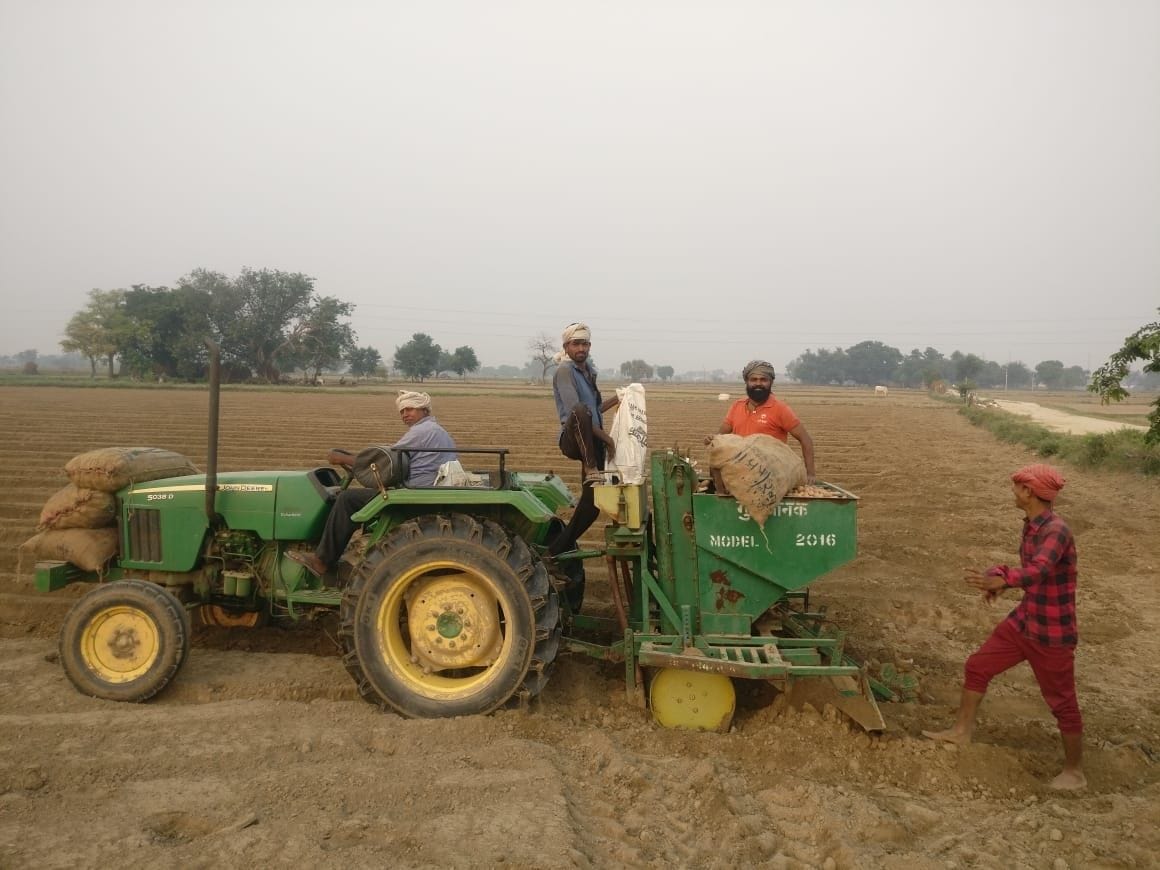 Hathras: This time the area of potato can increase up to three thousand hectares