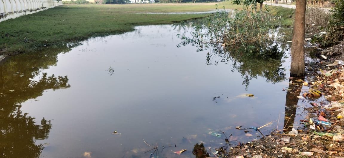 Waterlogging, fogging, no spraying of medicine