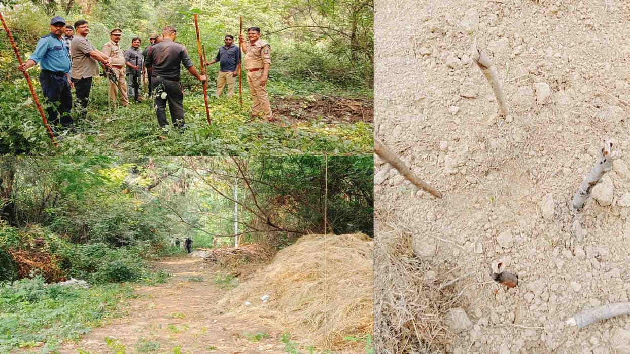 Leopard in Kanpur: forest department engaged in collecting footprints