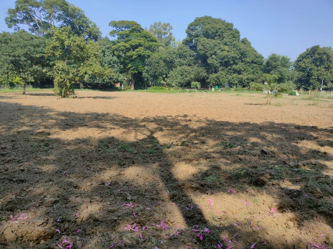 Herbal Garden will be built in three thousand square meters