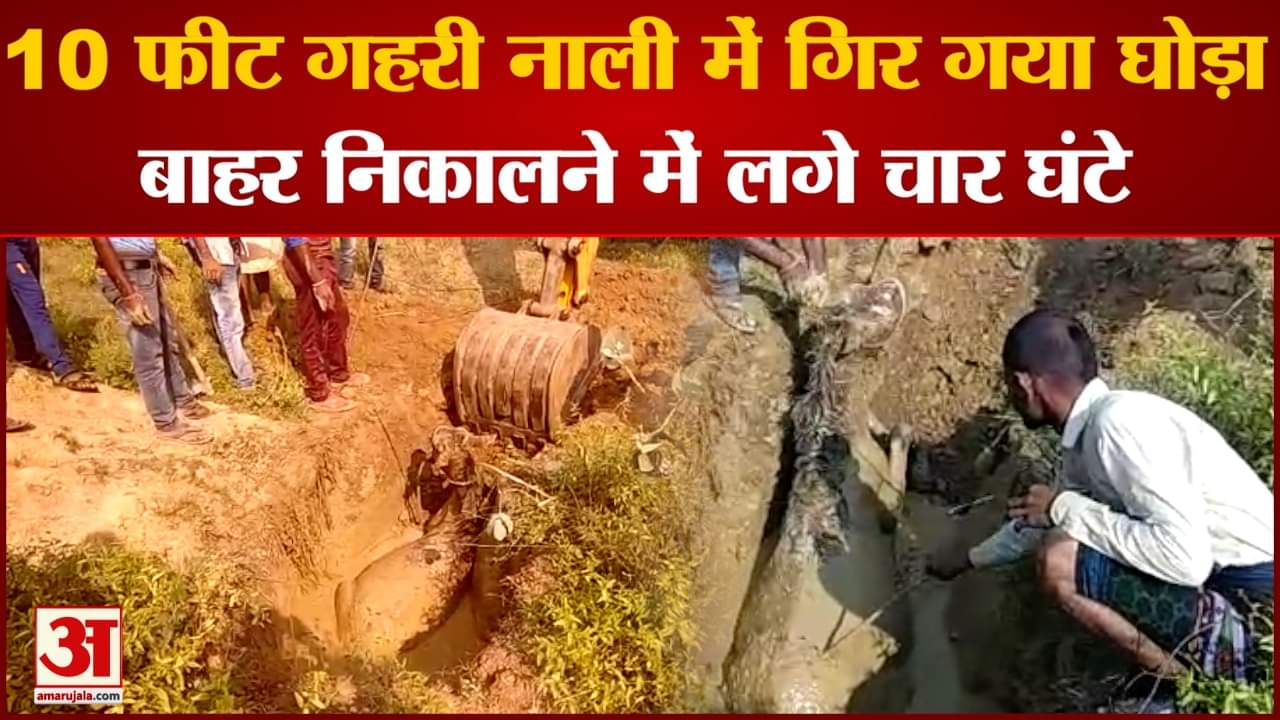 मध्य प्रदेश समाचार