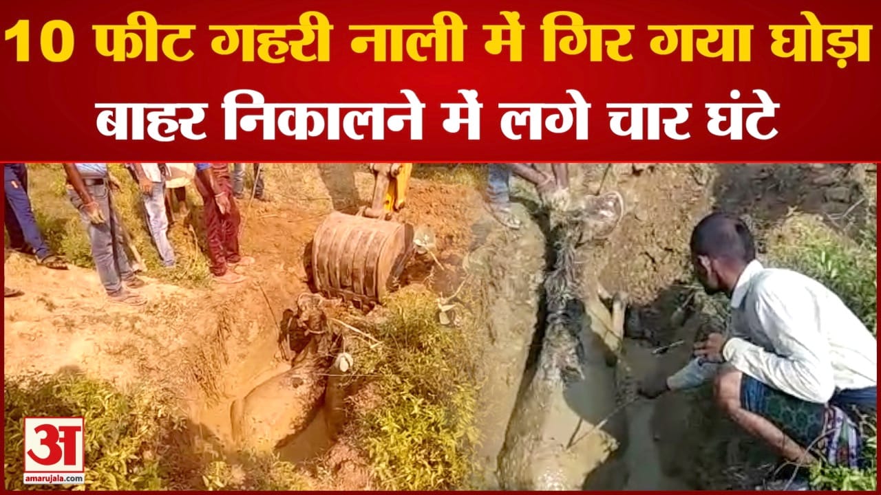 मध्य प्रदेश समाचार