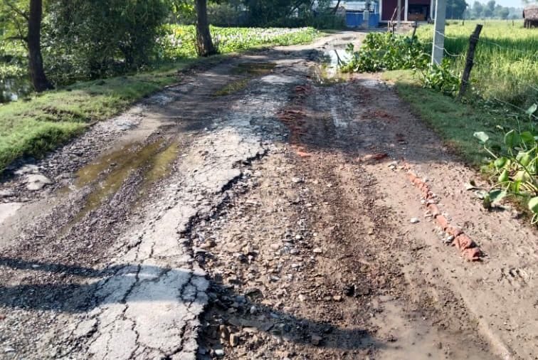 The dilapidated roads are revealing the pothole free campaign
