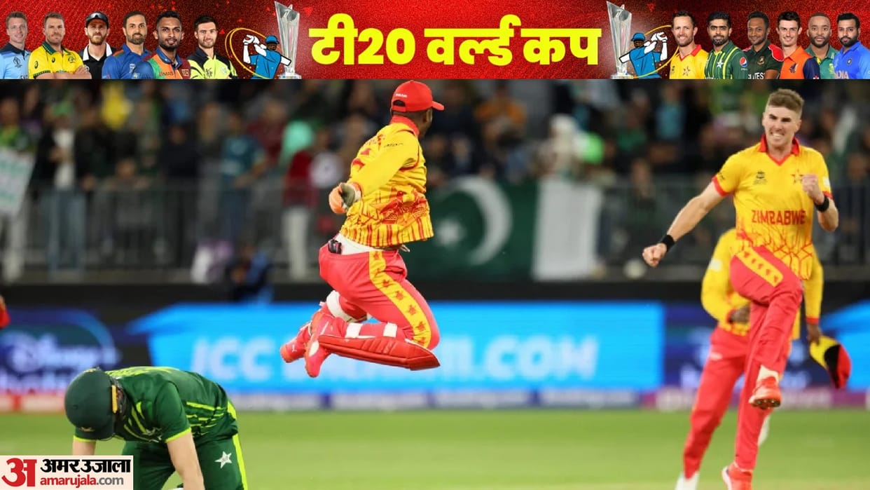 T20 World Cup 2022 Zimbabwe Cricket Players Salary Per Month Fees and Income All You Need to Know