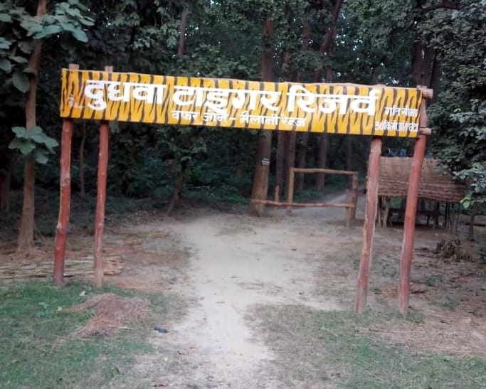 dudhawa jungal