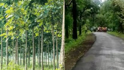 Delhi : कुदरती खूबसूरती के साथ अरावली जैव विविधता पार्क से करोड़ों रुपये की बचत, शोधार्थियों ने किया आकलन Saving crores of rupees from Aravalli Biodiversity Park with natural beauty