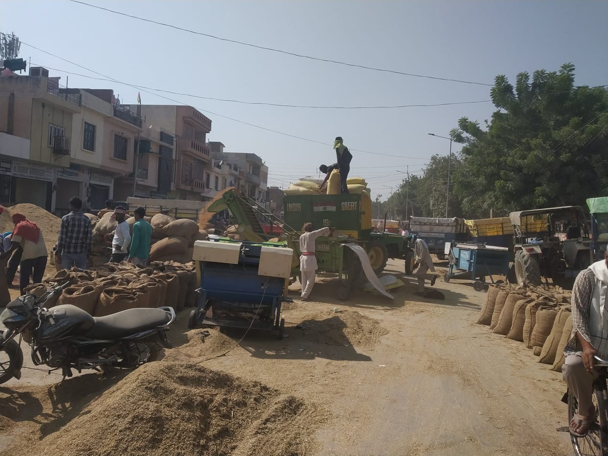 Mandi full of paddy, stop buying from tomorrow, only lifting will be done for two days