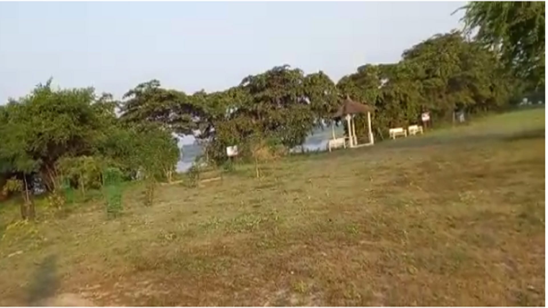 Haiderpur Wetland Bijnor : See unique images of Haiderpur Wetland