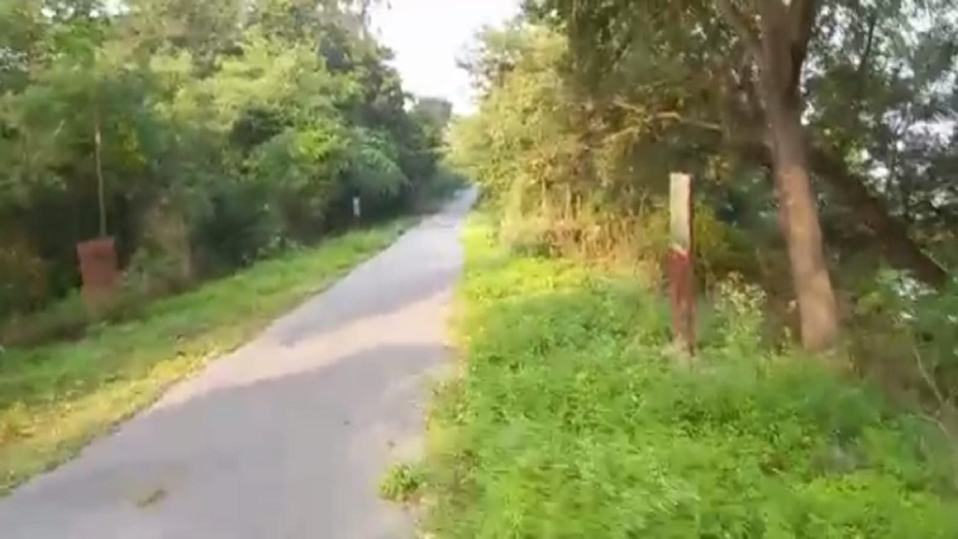 Haiderpur Wetland Bijnor : See unique images of Haiderpur Wetland