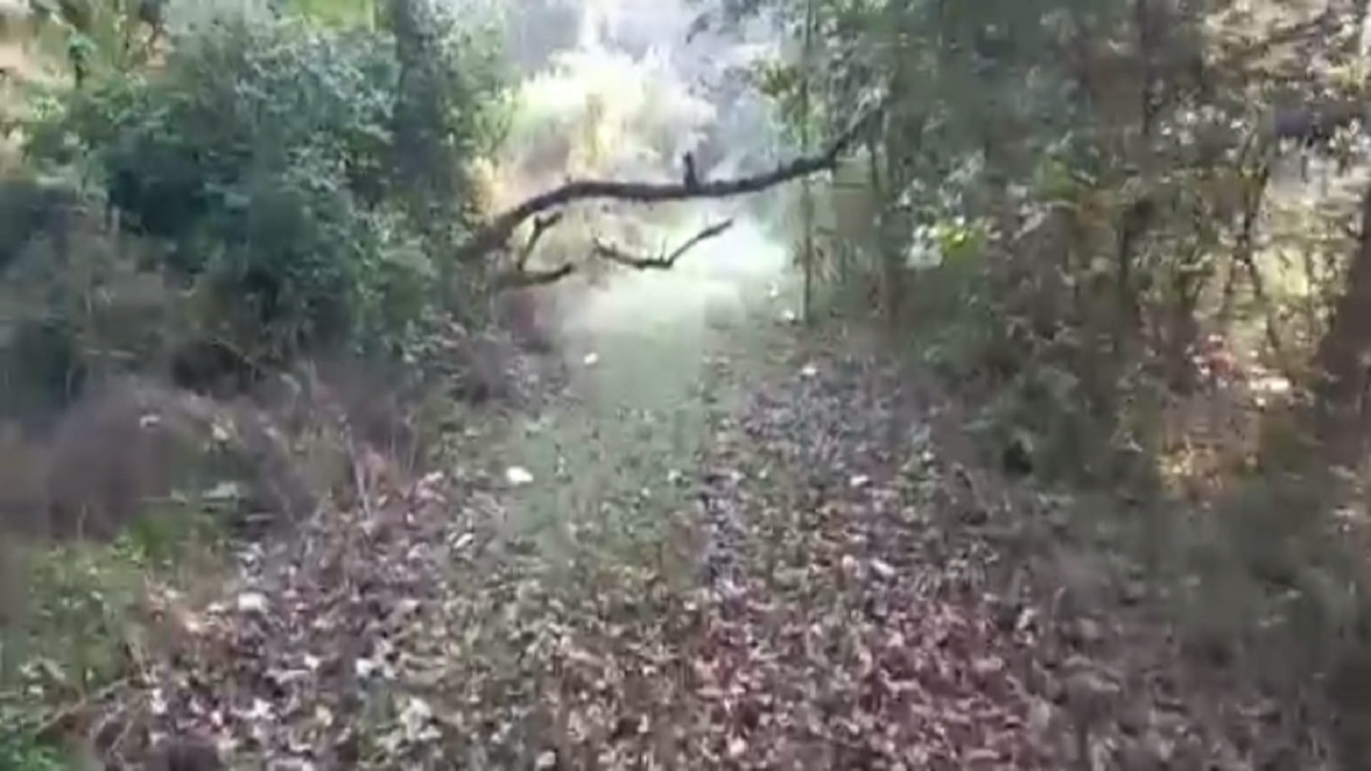 Haiderpur Wetland Bijnor : See unique images of Haiderpur Wetland