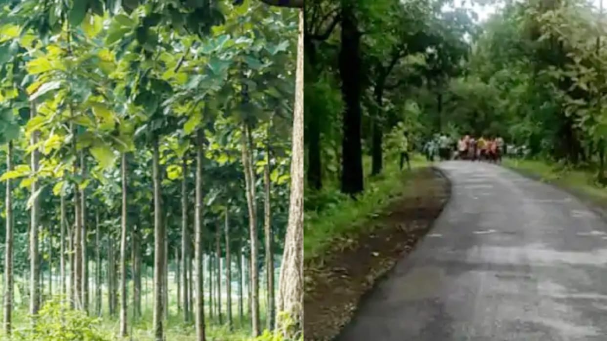 Saving crores of rupees from Aravalli Biodiversity Park with natural beauty