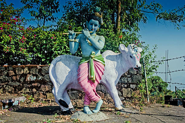 November Month 2022 Festival Gopashtmi On 1st November Festival Of Cow And Govind Worship