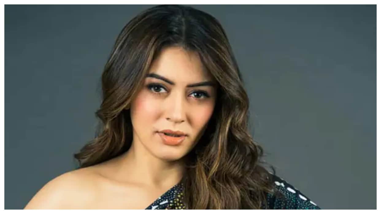 Shaka Laka Boom Boom Hansika Motwani is all set to tie the knot on december 4 know about wedding festivities