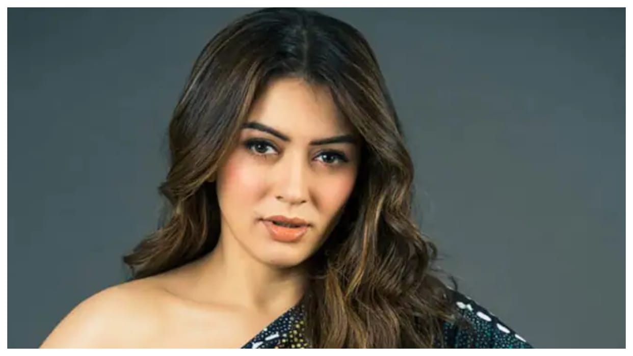 Shaka Laka Boom Boom Hansika Motwani is all set to tie the knot on december 4 know about wedding festivities
