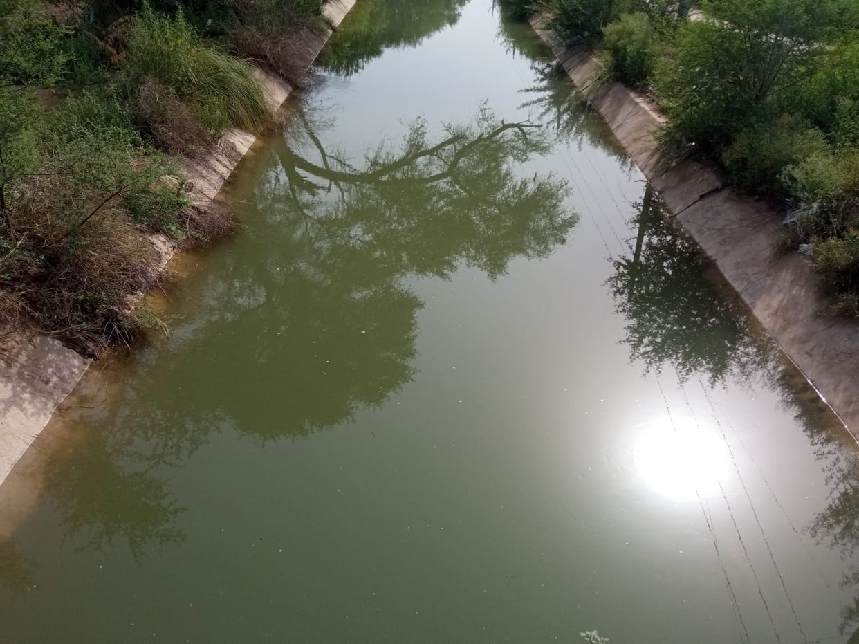 Shrubs, grass and shrubs growing in canals and minor, need cleaning
