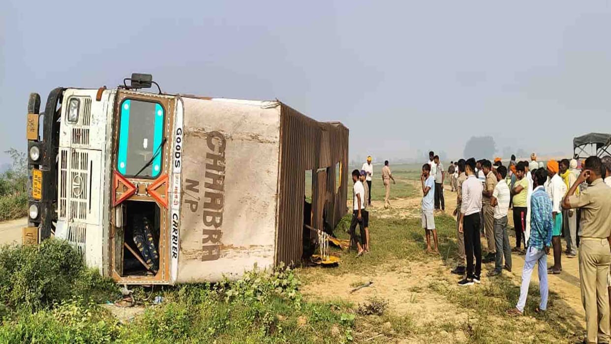 Hardoi News: Container overturns, 14 animals Died