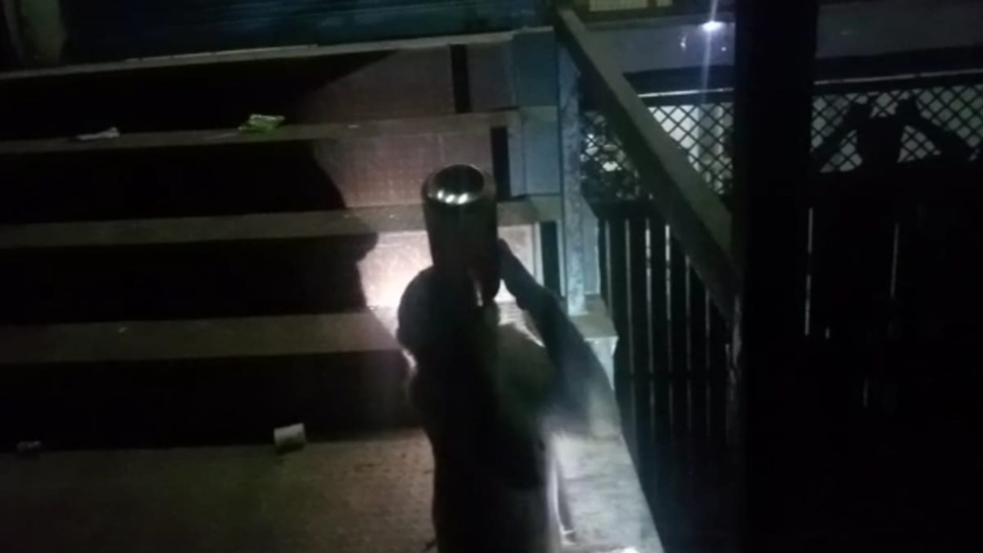 Video of monkey drinking wine in Raebareli going viral.