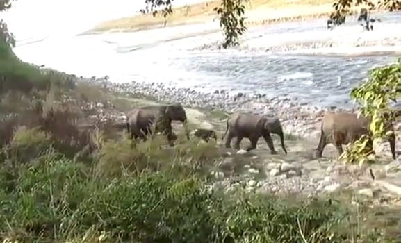 Amangarh forest ready for tourism, waiting for date