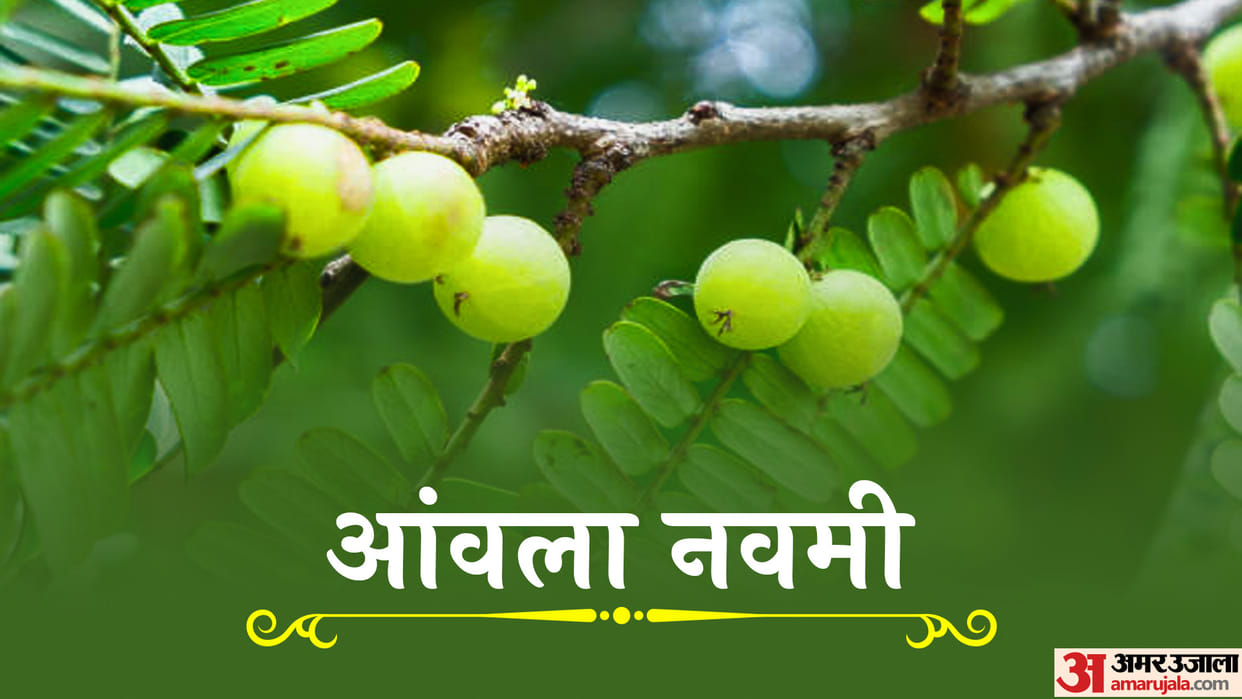 Amla Navami 2023 Date Know Puja Vidhi Subh Muhurat And Importance News in Hindi
