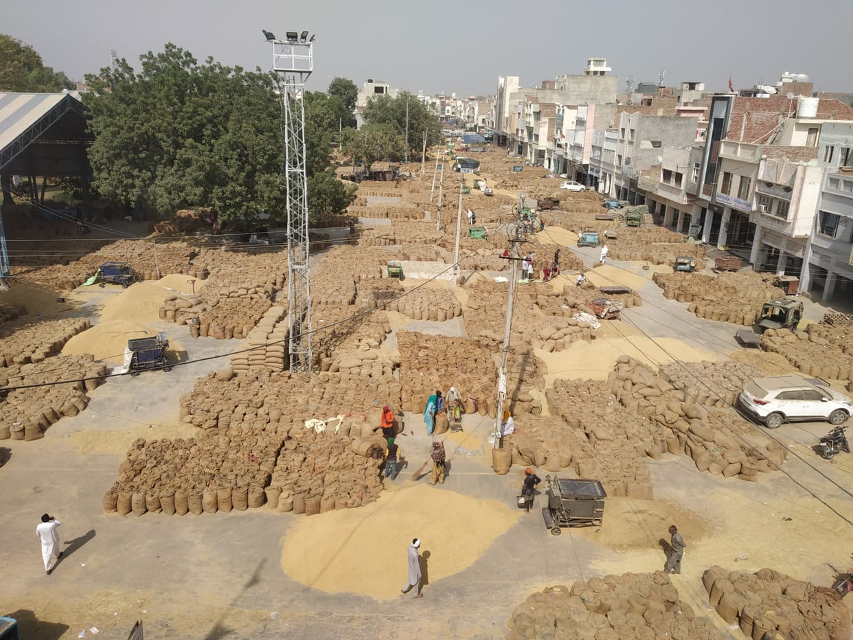 12 lakh bags of paddy left to be lifted in grain market, roads closed, 30 thousand population of 10 colonies upset