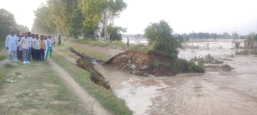 100 feet wide crack in Rajasthan canal near village Dhukra, waterlogging in hundreds of acres of crop