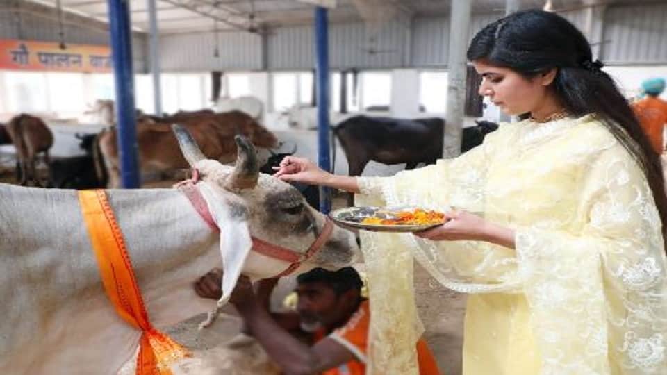 Gopashtami 2022 Gopashtami celebrate in Braj mathura hindi news