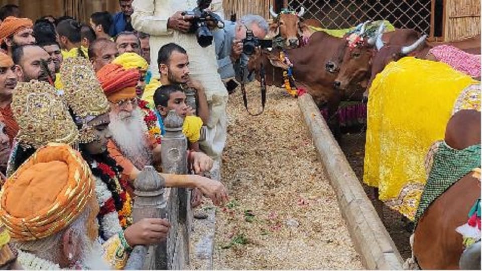 Gopashtami 2022 Gopashtami celebrate in Braj mathura hindi news