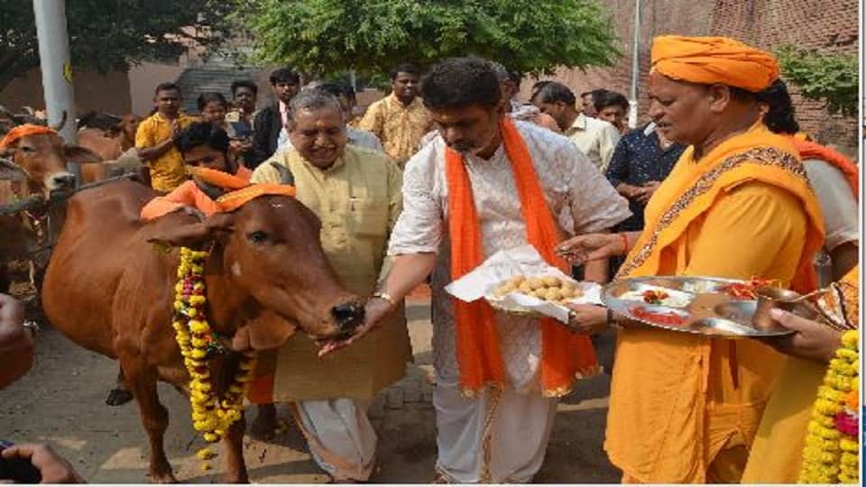 Gopashtami 2022 Gopashtami celebrate in Braj mathura hindi news
