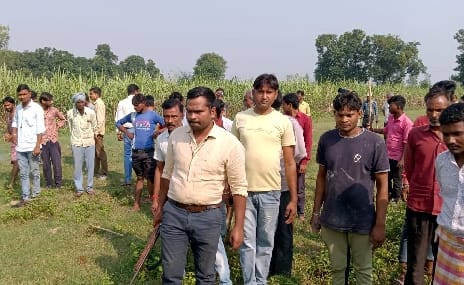 The herd of 43 elephants again returned to the forest of Devipur