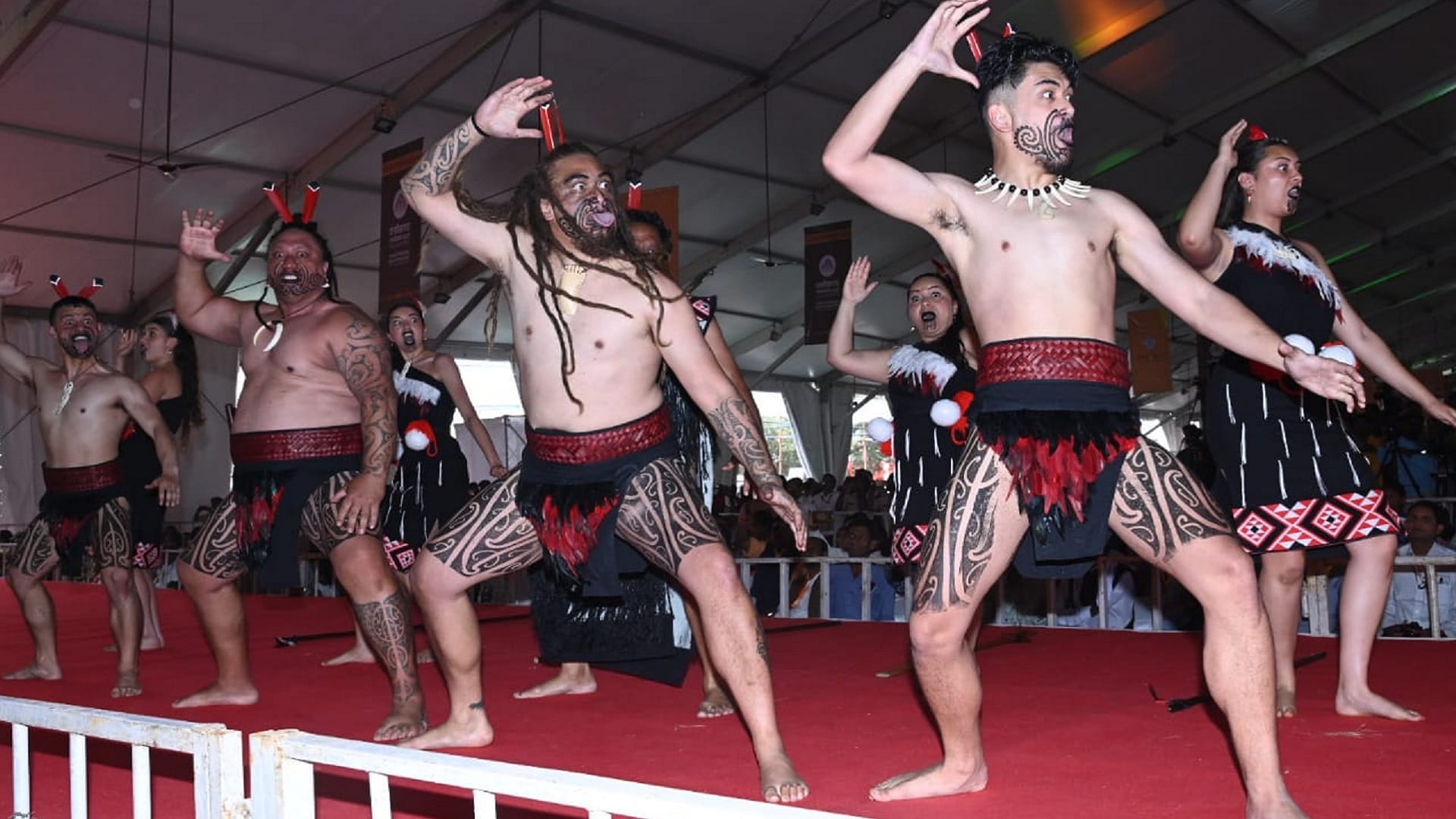 National Tribal Dance Festival: Celebrations of Chhattisgarh Rajyotsava begin