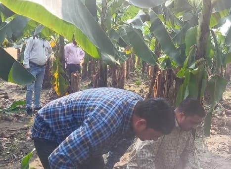 Leopard kills calf, forest department confirms attack