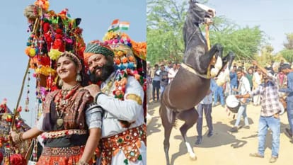 Pushkar Mela 2022 World famous Pushkar fair begins Will be held till 8th November