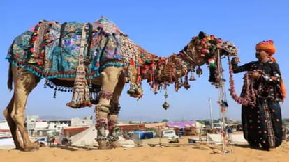 Pushkar Mela 2022 World famous Pushkar fair begins Will be held till 8th November