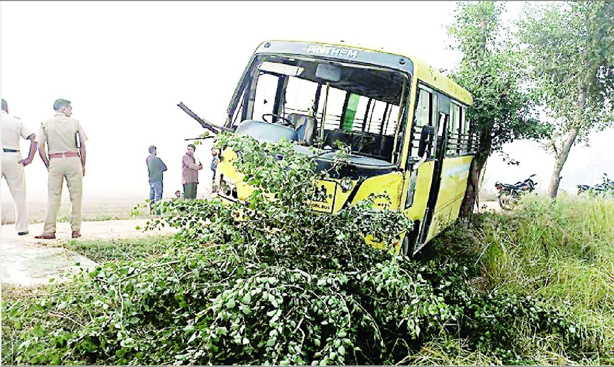 School bus stuck on tree, 23 children narrowly left
