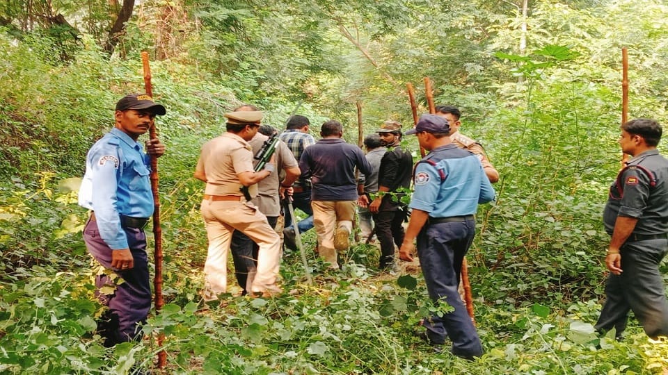 Leopard kills six-year-old girl in Jharkhand, third such incident in 10 days