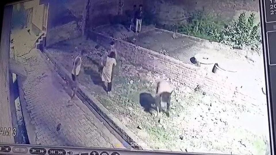 attack on bride family before marriage after dispute over dog in agra