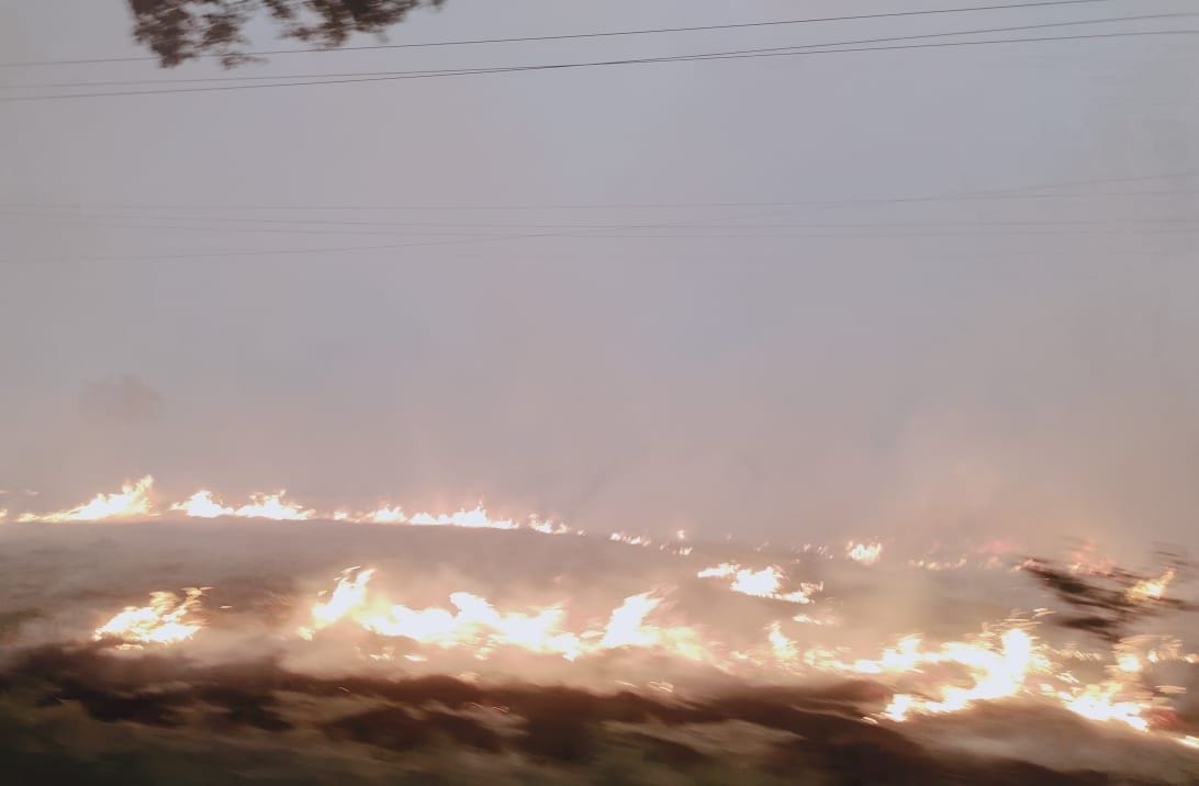 Smoke from stubble and garbage inhales