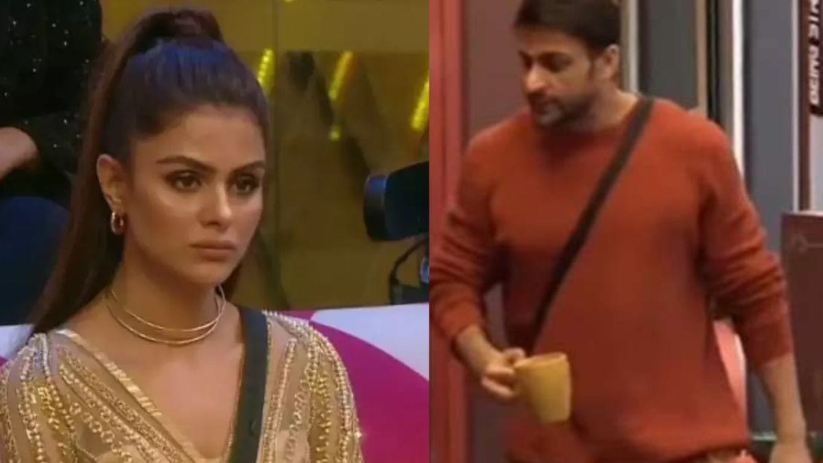 Bigg Boss 16: Abdu Rozik mocks Shaleen bhanot demand for chicken actor vents anger on Priyanka chaudhary
