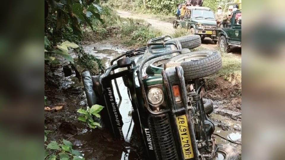 Nainital: Gypsy of Gujarat tourist overturned in Fata zone after bee swarm attacked