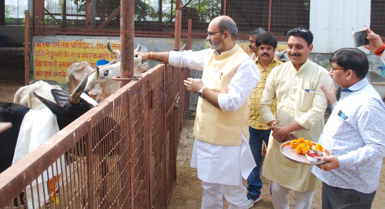 Hathras: Worship of Gomata took place on Gopashtami, Gocharan Yatra taken out