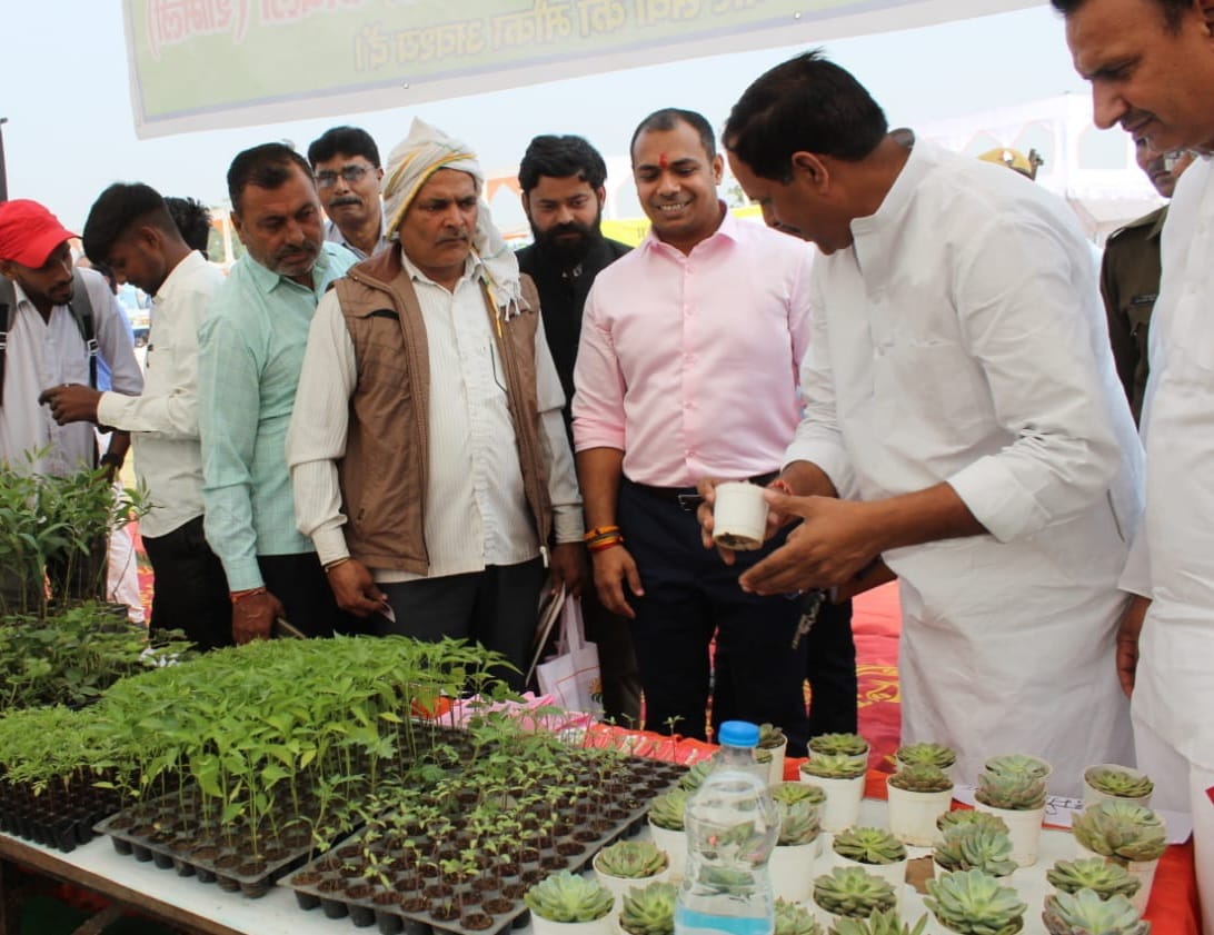 Farmers should adopt organic farming instead of chemical fertilizers
