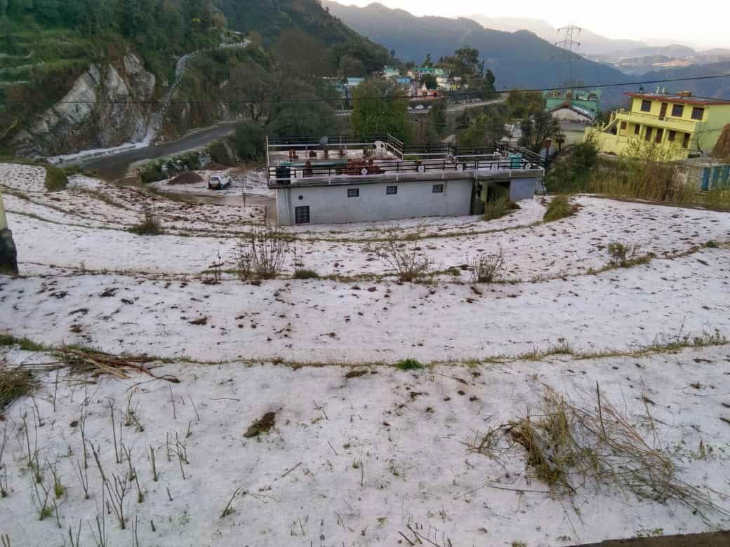 Horticulture and fruit damage due to hail