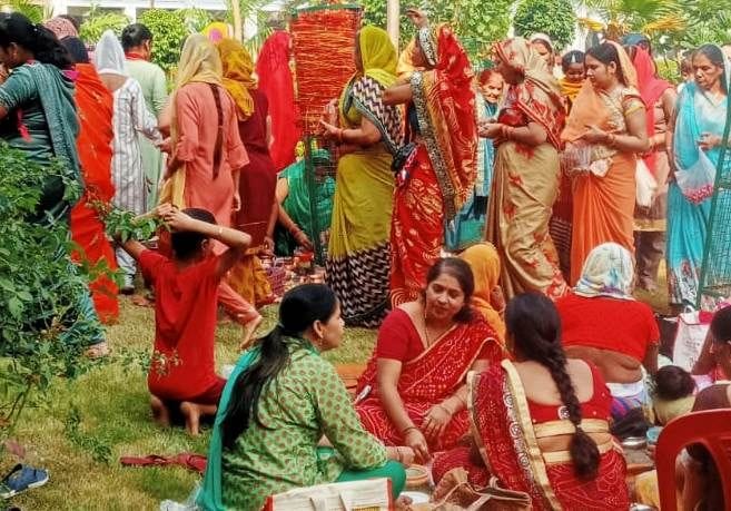 Women pray for happiness and prosperity by worshiping Amla
