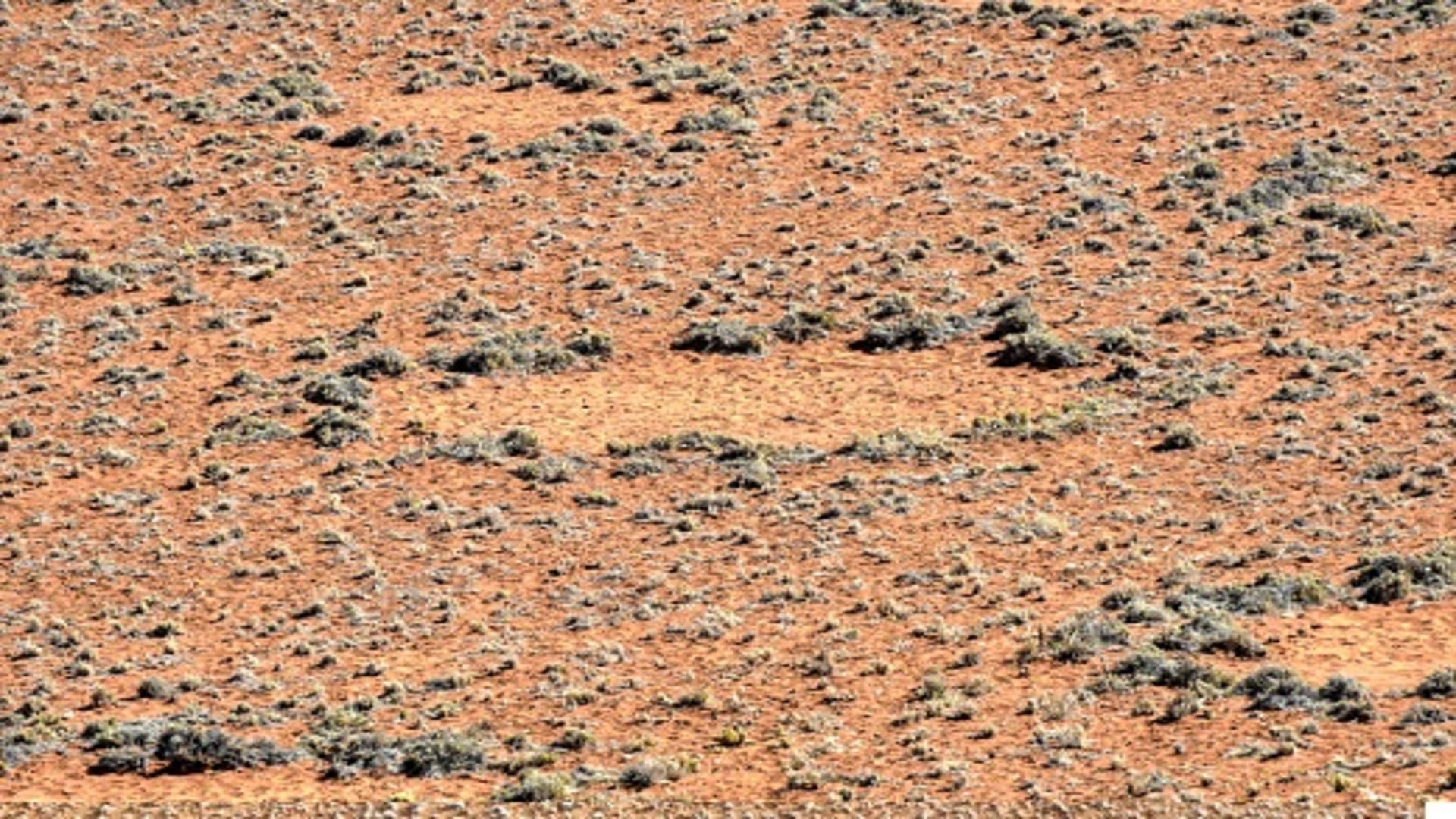 Scientists Discoverd Mysterious Fairy Circles in Namibia’s Desert Know Facts