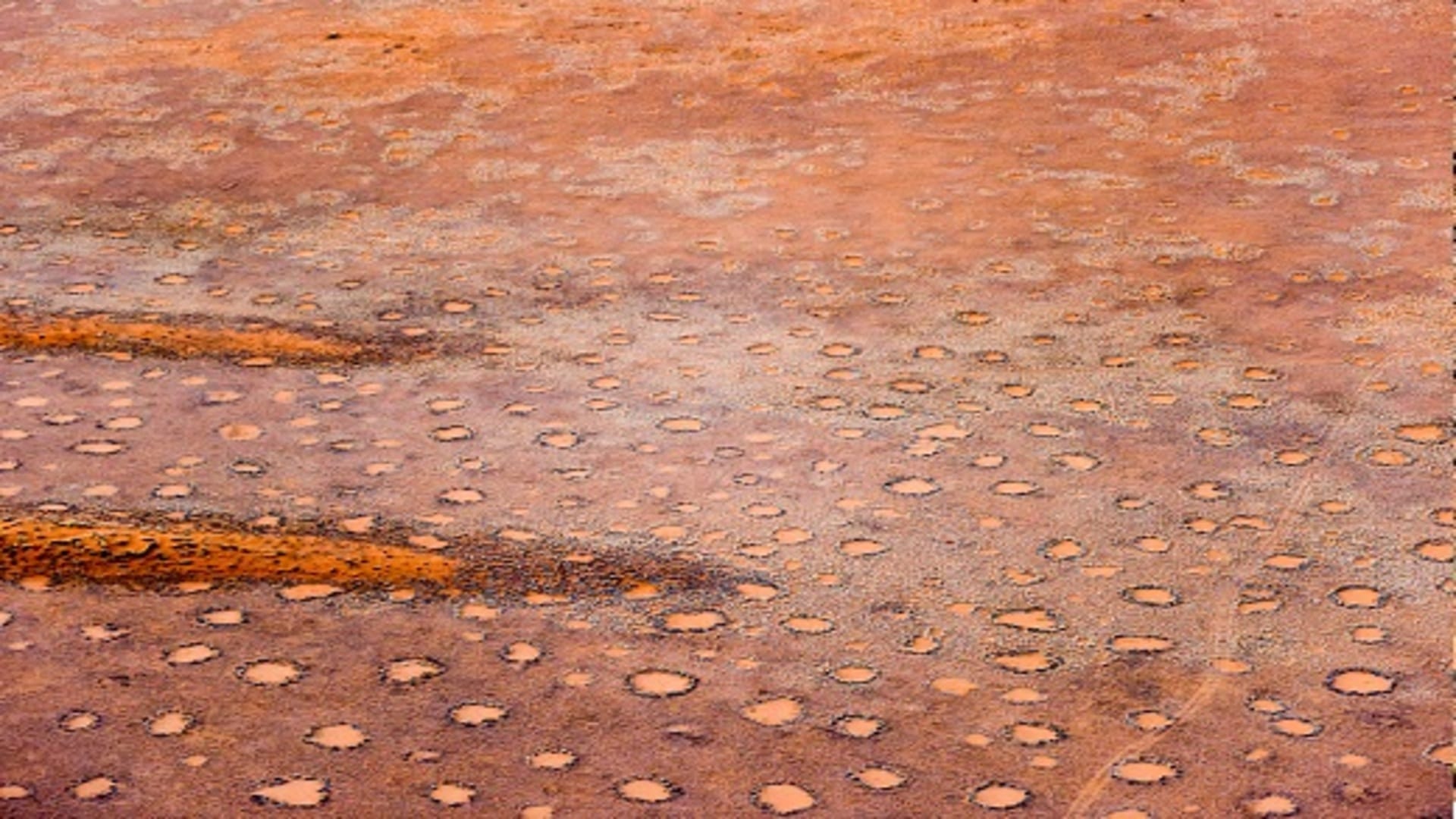 Scientists Discoverd Mysterious Fairy Circles in Namibia’s Desert Know Facts