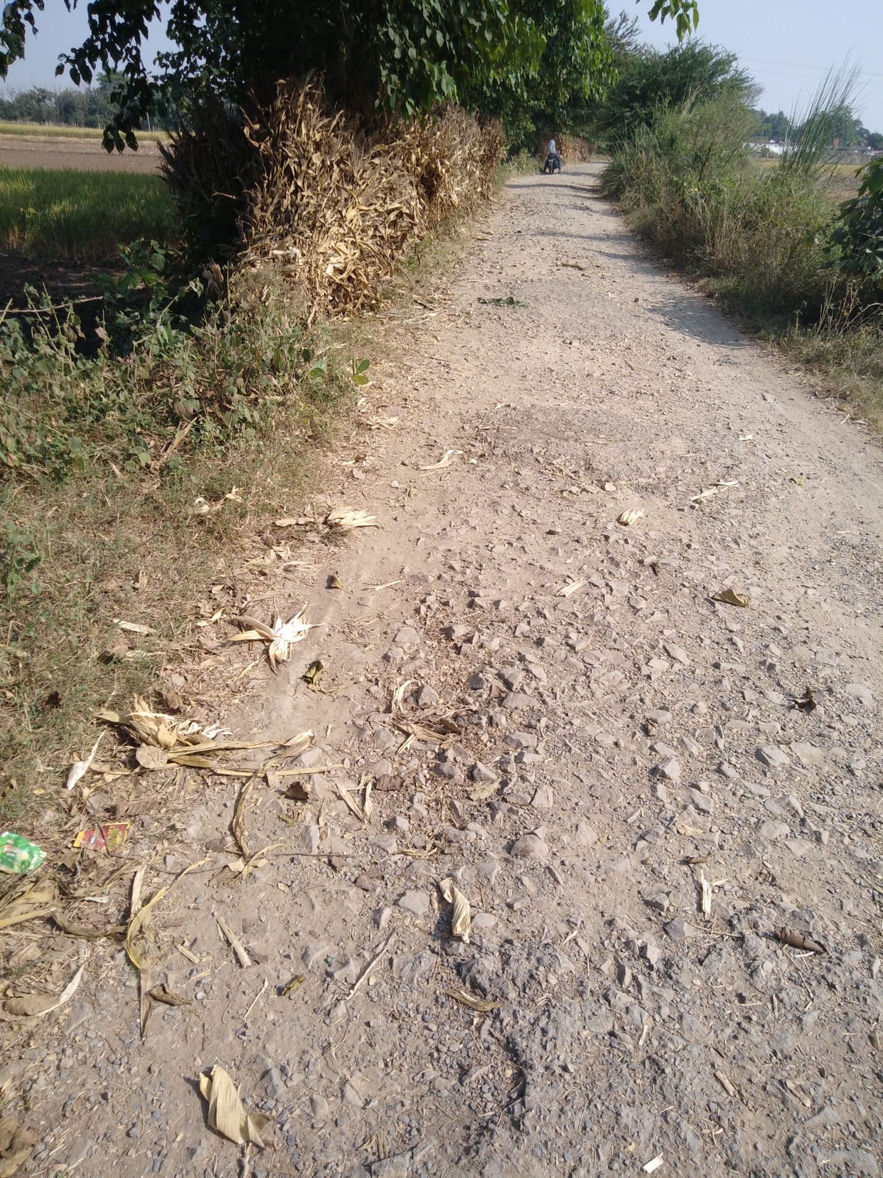 Eight roads will be rejuvenated by accelerated economic development plan